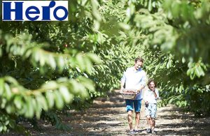 Hero studio naturalità